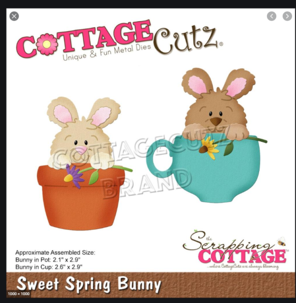 Troquel Sweet spring bunny cottage